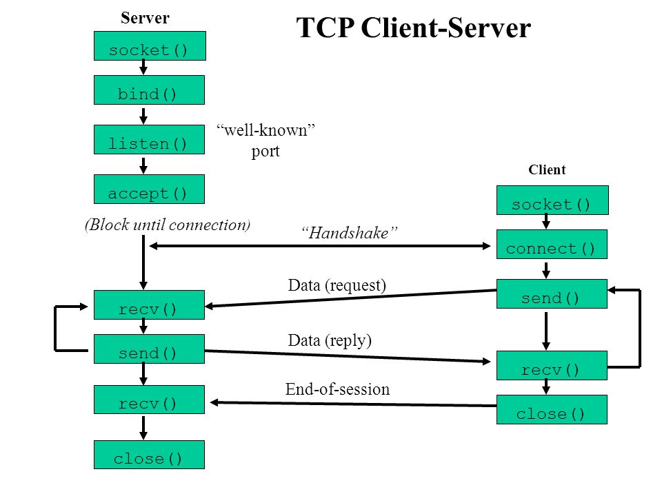 tcp client server